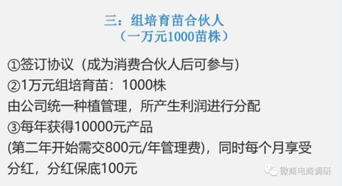 鴻信源代理制度詳解 如何通過(guò)代用茶宣傳提升免疫力并實(shí)現(xiàn)創(chuàng)業(yè)共贏